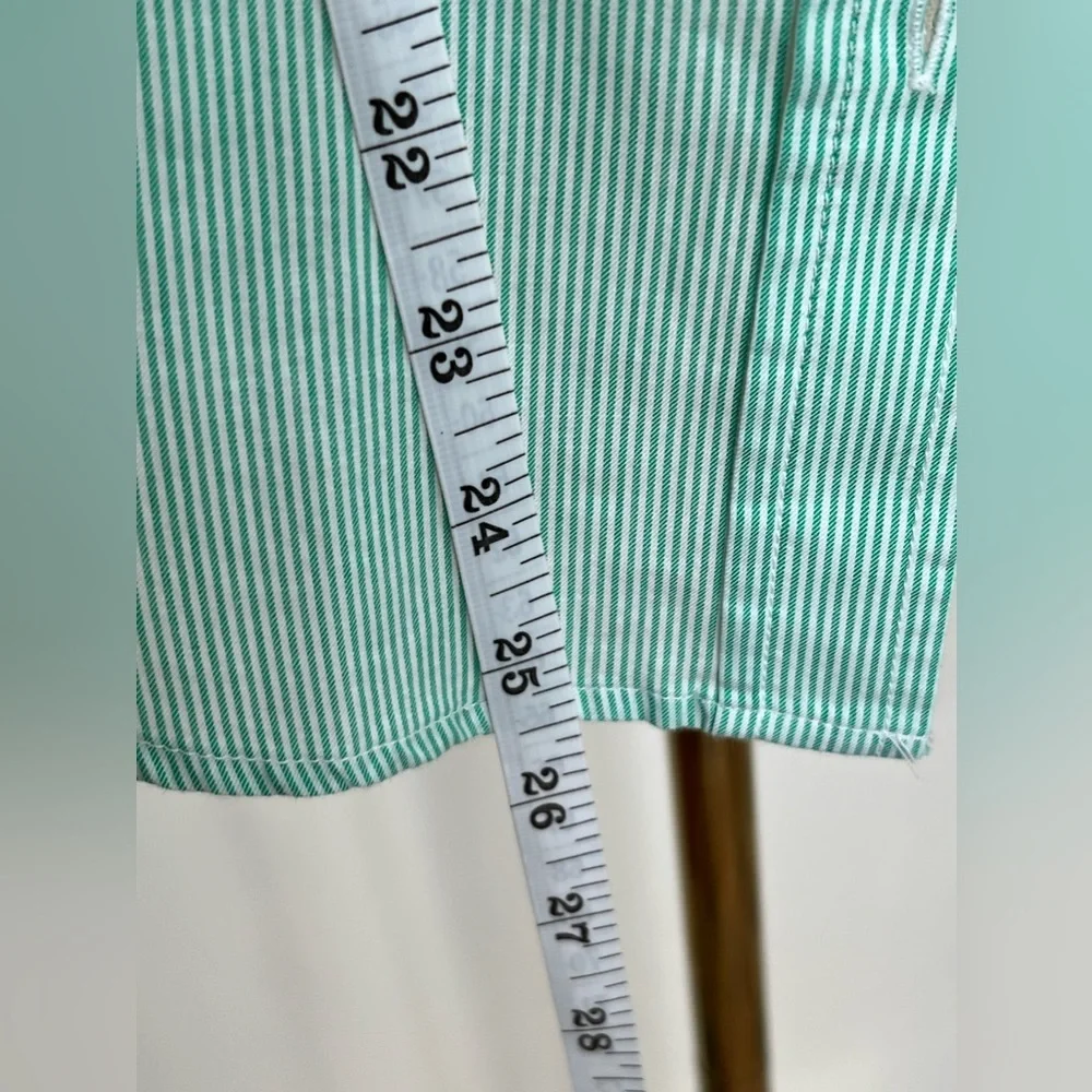 Everlane Green Pin Stripe Button Down Top NWT - Picture 6 of 7